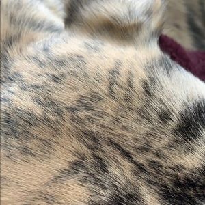 Meet your Posher, Ian